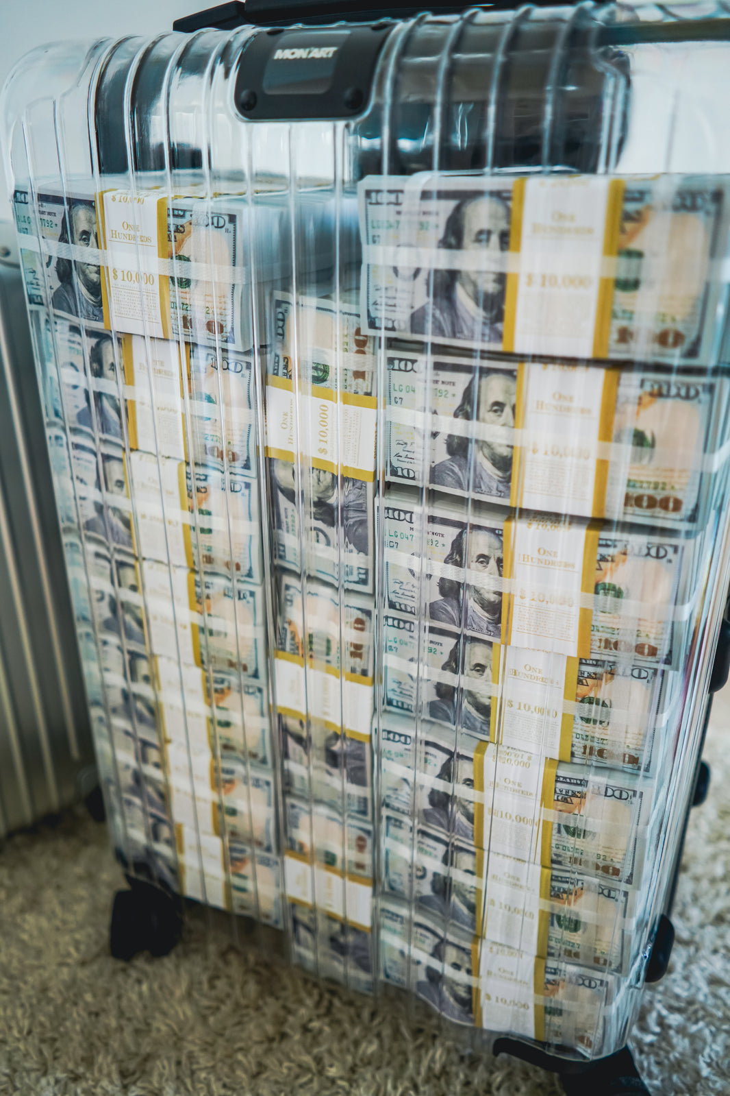 THE DOLLAR SUITCASE