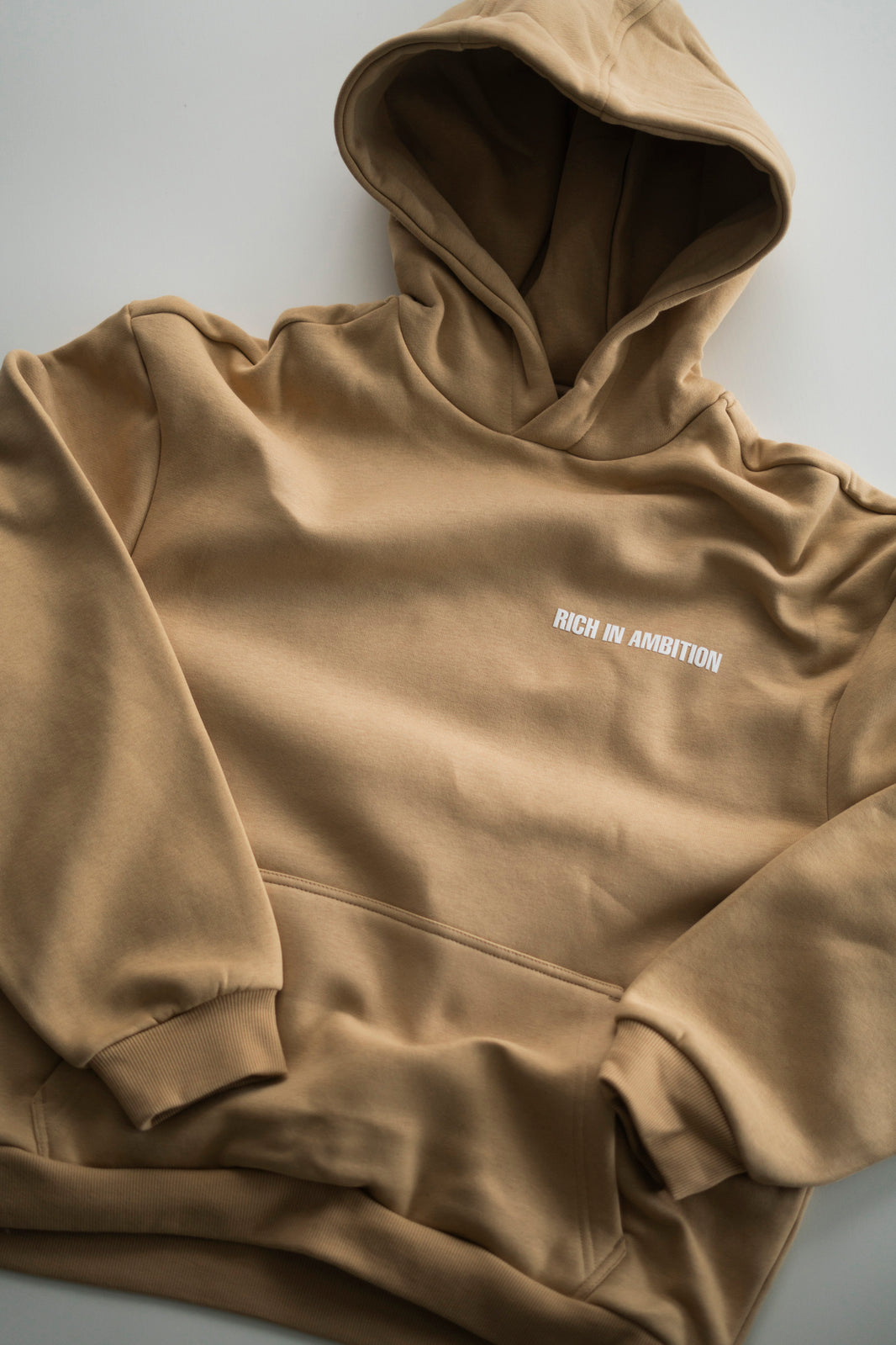 RICH IN AMBITION HOODIE