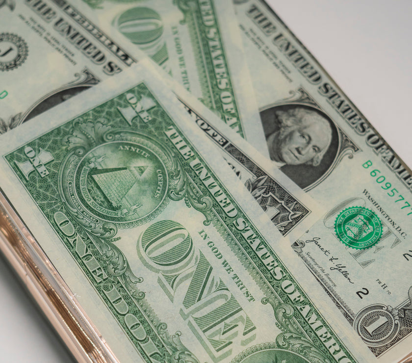 THE DOLLAR CLUTCH
