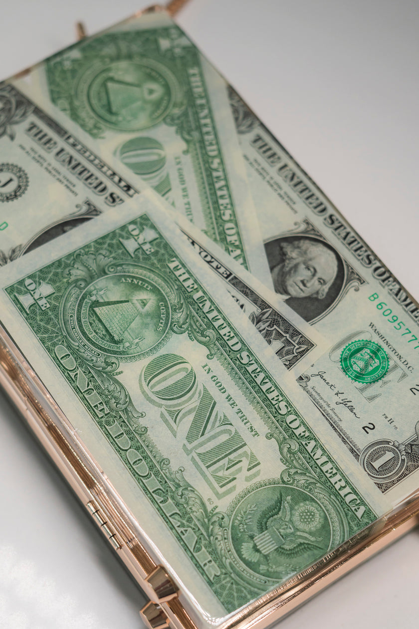 THE DOLLAR CLUTCH
