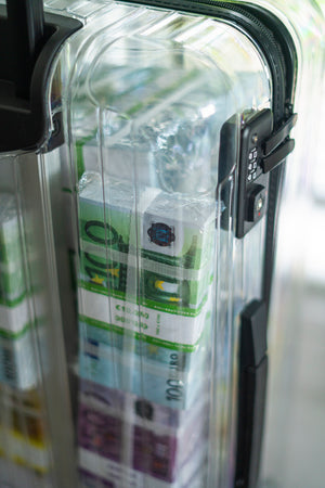 THE EURO SUITCASE