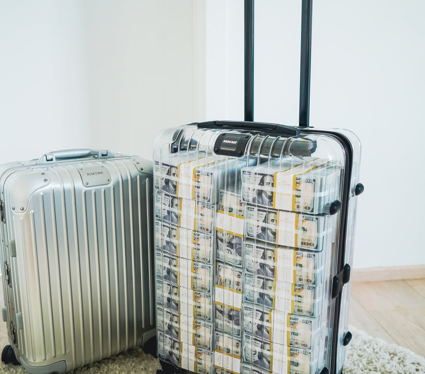 THE DOLLAR SUITCASE