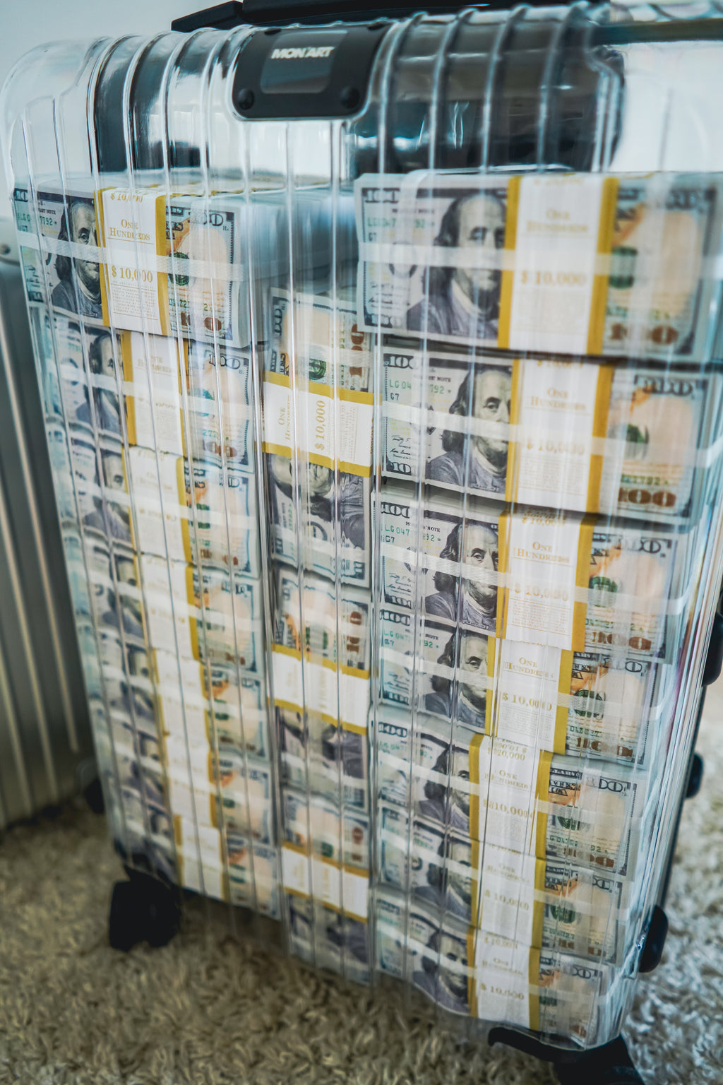 THE DOLLAR SUITCASE